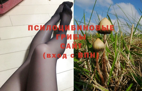 гашик Гусиноозёрск
