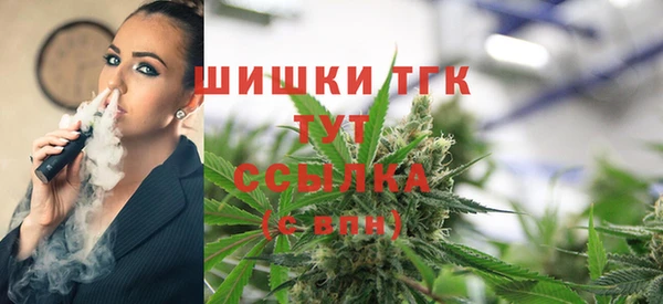гашик Гусиноозёрск